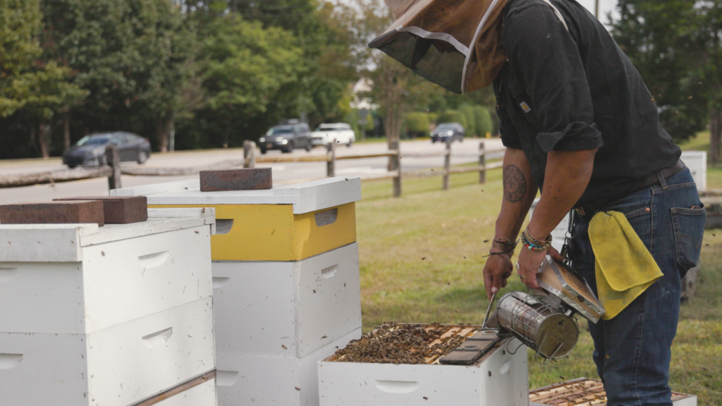 beekeeping Buddha Bee Apiary Research Triangle North Carolina Video Production